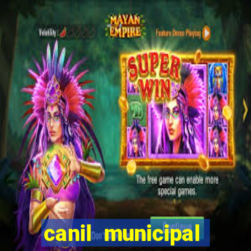 canil municipal porto alegre